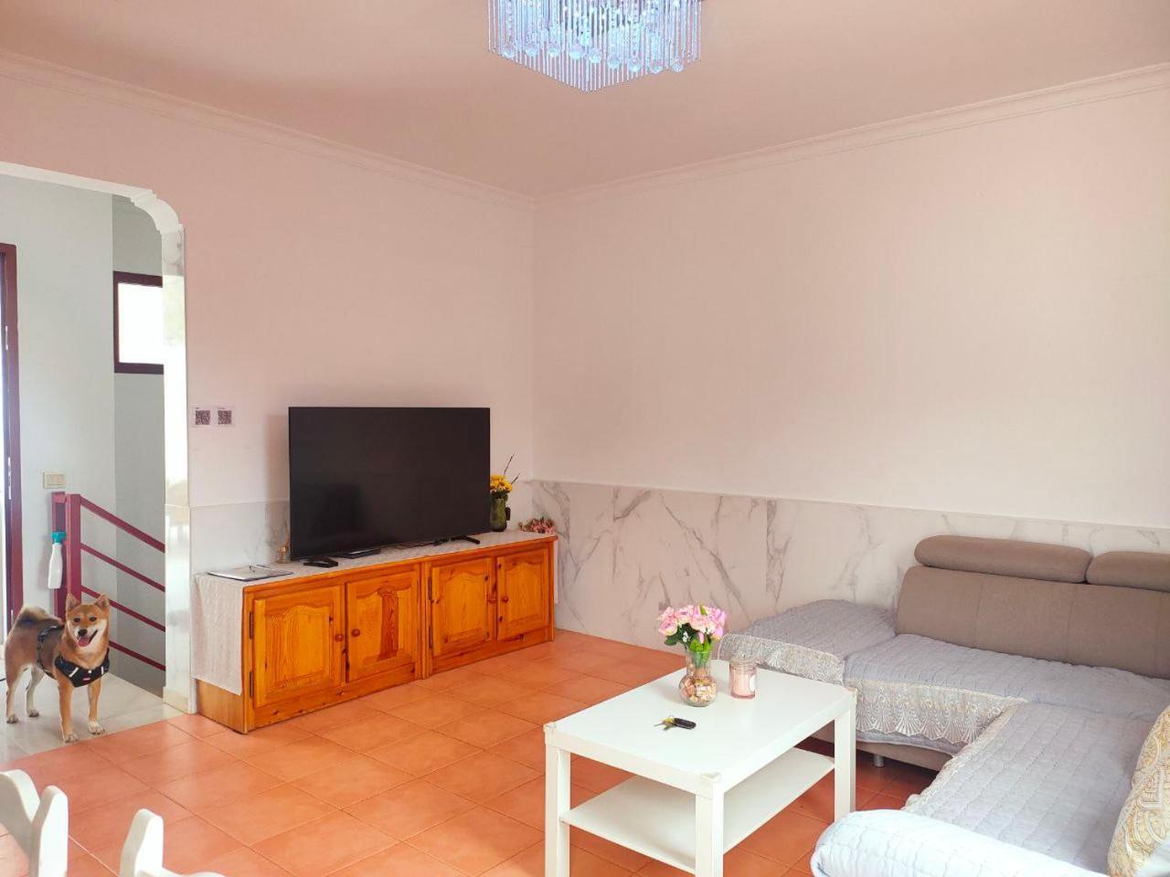 Big Villa Puerto Rico Streetfront With Private Saltwater Jacuzzi Pool, Bbq, Kitchen & 3 Terraces Near Shopping Center プエルトリコ エクステリア 写真